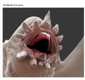 very_interesting_photos_23 copy