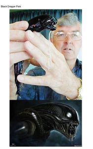 very_interesting_photos_26