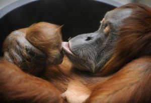 daily_picdump_1835_640_14