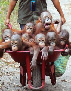 daily_picdump_1840_640_83