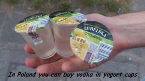 daily_picdump_1842_640_31