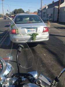 daily_picdump_1850_640_61