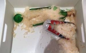 daily_picdump_1858_640_46