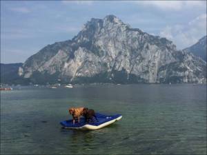 daily_picdump_1897_640_46