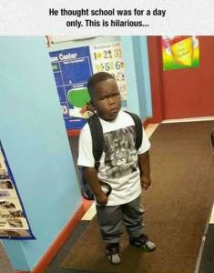 daily_picdump_1900_640_04