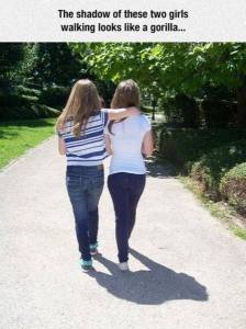 daily_picdump_1901_640_01