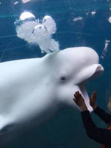 daily_picdump_1904_640_23