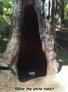 daily_picdump_1911_640_95