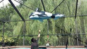 daily_picdump_1913_640_41