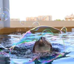 daily_picdump_1913_640_49