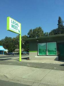 daily_picdump_1916_640_02