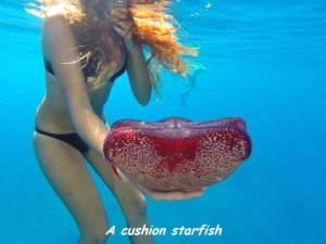 daily_picdump_1920_640_15