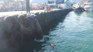 daily_picdump_1920_640_33