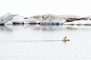 daily_picdump_1920_640_75