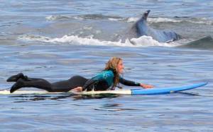 daily_picdump_1921_640_89