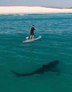 daily_picdump_1929_640_46