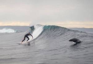 daily_picdump_1931_640_03