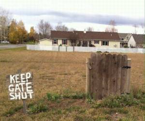 daily_picdump_1931_640_13