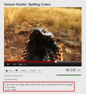 daily_picdump_1931_640_79