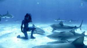 daily_picdump_1936_640_43