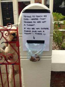 daily_picdump_1940_640_37