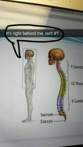 daily_picdump_1941_640_34