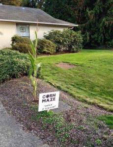 daily_picdump_1941_640_75