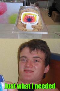 funny_picdump_1043_640_high_45