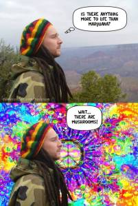 funny_picdump_1061_640_high_47