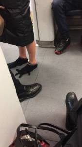 funny_picdump_1075_640_42