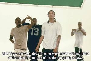 interesting_facts_about_anything_and_everything_640_48