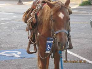 morning_picdump_715_640_18