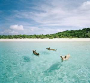 morning_picdump_815_640_37