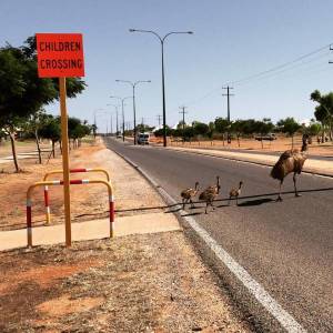 morning_picdump_822_640_48