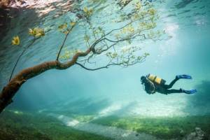 morning_picdump_823_640_22