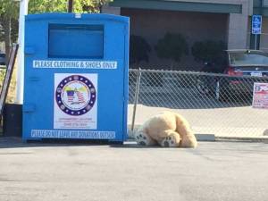 morning_picdump_824_640_31