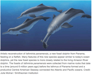 Screen Shot 2015-09-04 at 7.52.03 AM