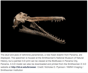 Screen Shot 2015-09-04 at 7.53.37 AM