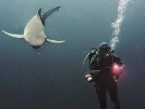 this_sht_is_getting_crazy_640_04