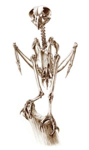 tumblr_mmpedwwkdN1s7s903o3_400