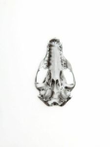 tumblr_ndljx56z6Q1qcb61lo1_500