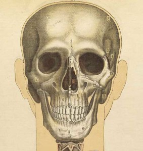 tumblr_ndmgzveiQT1qigaa4o1_500