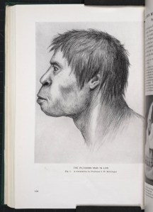 tumblr_ngzkzlPfZq1ry3nado1_500