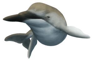 tumblr_ntuj4npWBt1s5f2yxo1_500