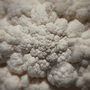 Perpetual cauliflower