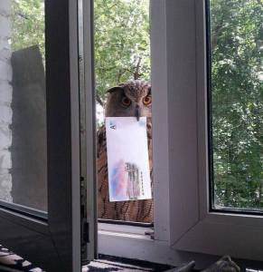 daily_picdump_1860_640_06