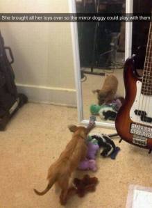 daily_picdump_1866_640_high_22