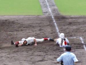 daily_picdump_1892_640_49