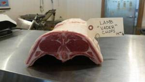 daily_picdump_1901_640_08