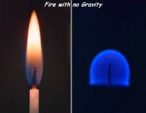 daily_picdump_1902_640_56